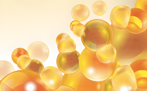 LPLC Media & Accessories