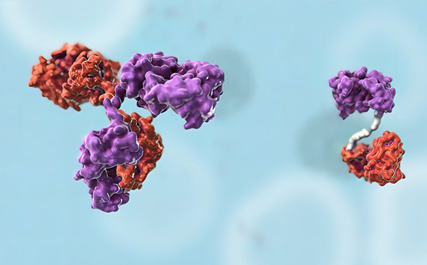 Amino Acid Peptide & Protein Standards