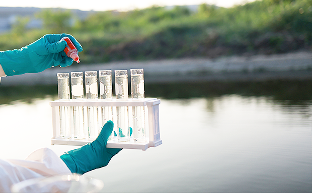 Water Quality Analysis